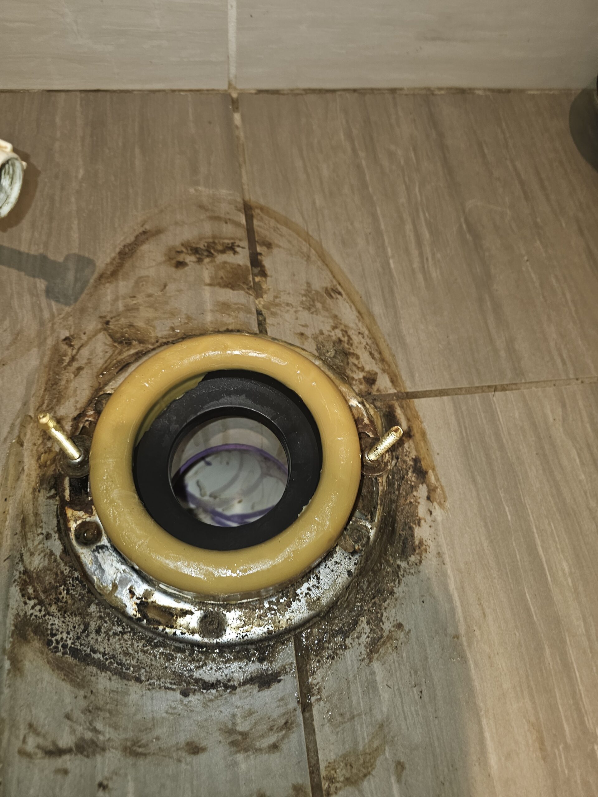 New Wax Ring Seated on Toilet Flange by Titan Plumbing Services LLC in Douglas County Colorado